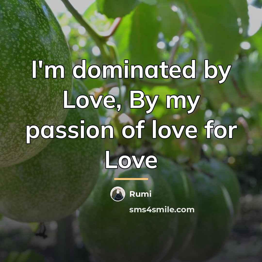 “I'm dominated by Love, By my passion of love for…” quote by Rumi