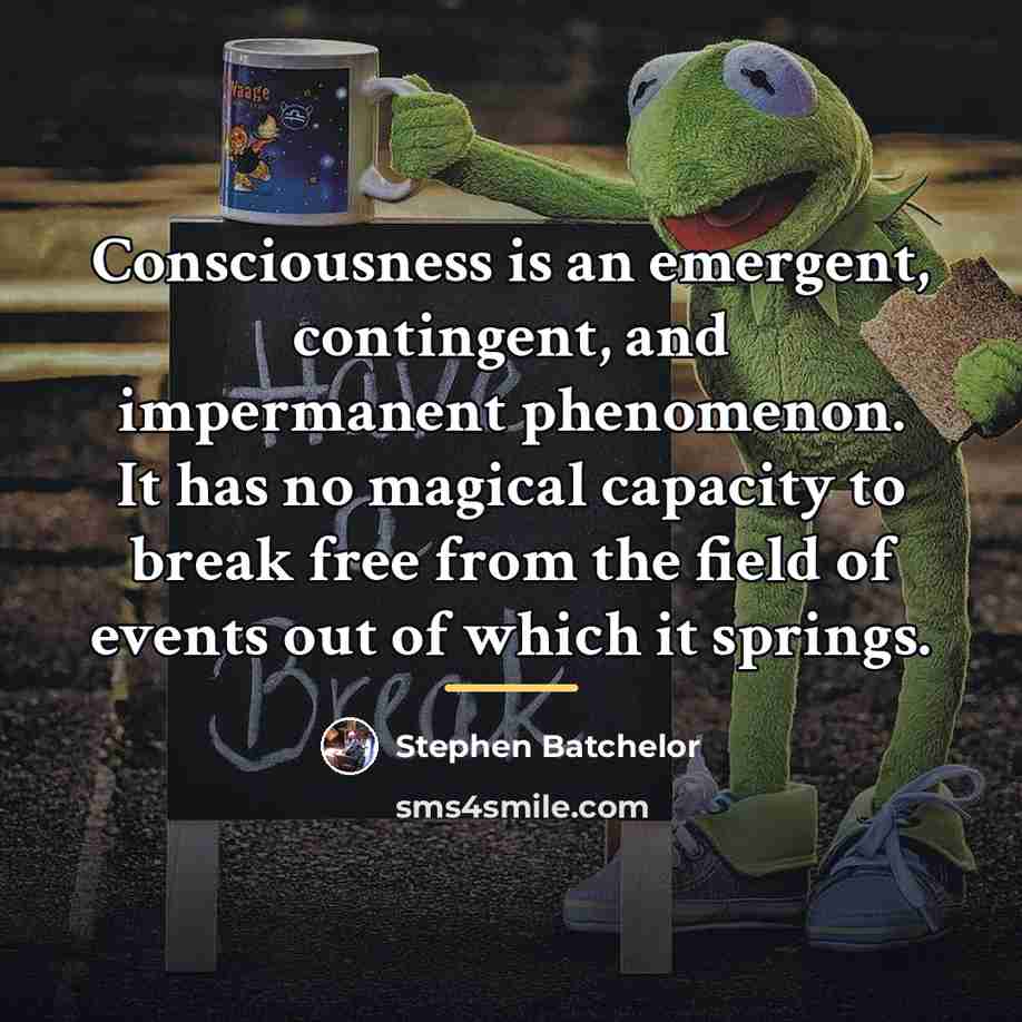 “Consciousness is an emergent, contingent, and impermanent phenomenon. It has…” quote by Stephen Batchelor