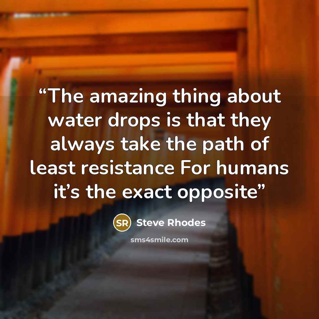 “The amazing thing about water drops is that they always take the path of least resistance For humans it’s the exact opposite” quote by Steve Rhodes