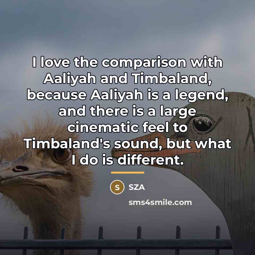 “I love the comparison with Aaliyah and Timbaland, because Aaliyah…” quote by SZA
