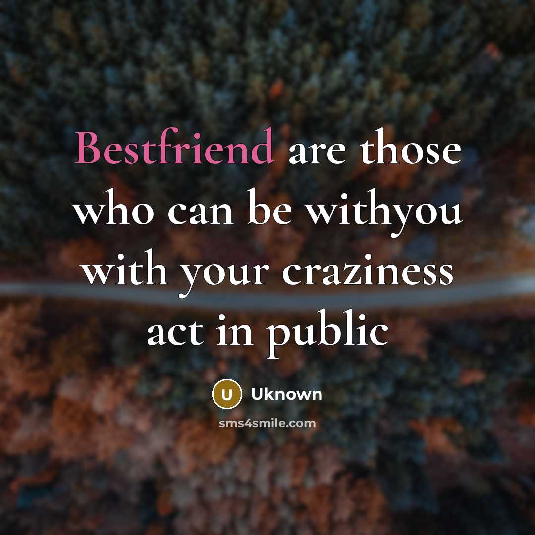 “Bestfriend are those who can be withyou with your craziness…” quote by Uknown