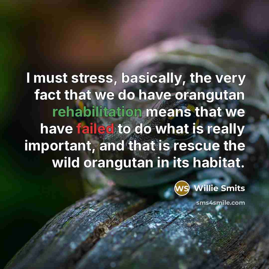 “I must stress, basically, the very fact that we do have orangutan rehabilitation means that we have failed to do what is really important, and that is rescue the wild orangutan in its habitat.” quote by Willie Smits