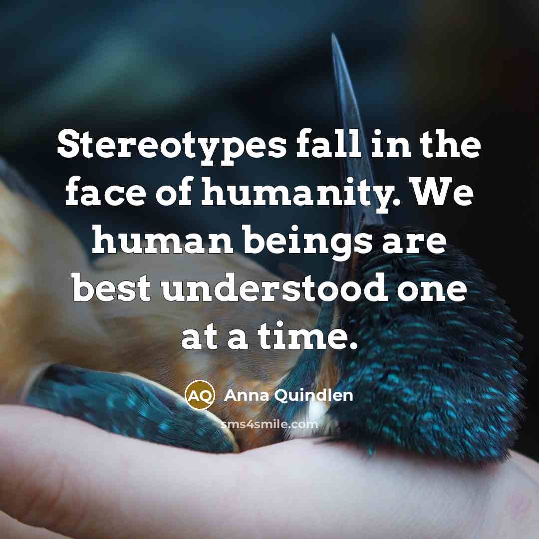 “Stereotypes fall in the face of humanity. We human beings…” quote by Anna Quindlen