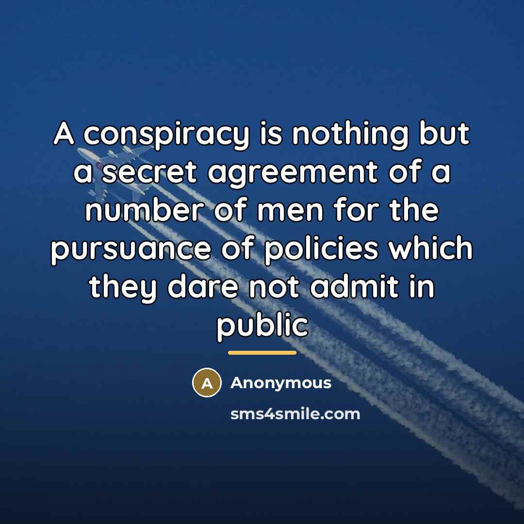 “A conspiracy is nothing but a secret agreement of a…” quote by Anonymous