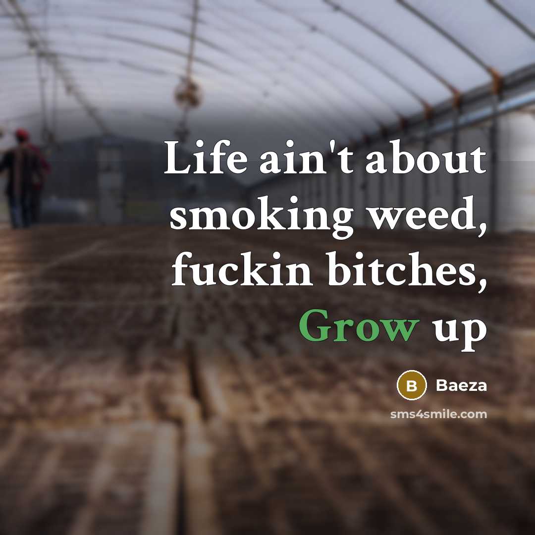 “Life ain't about smoking weed, fuckin bitches, Grow up…” quote by Baeza