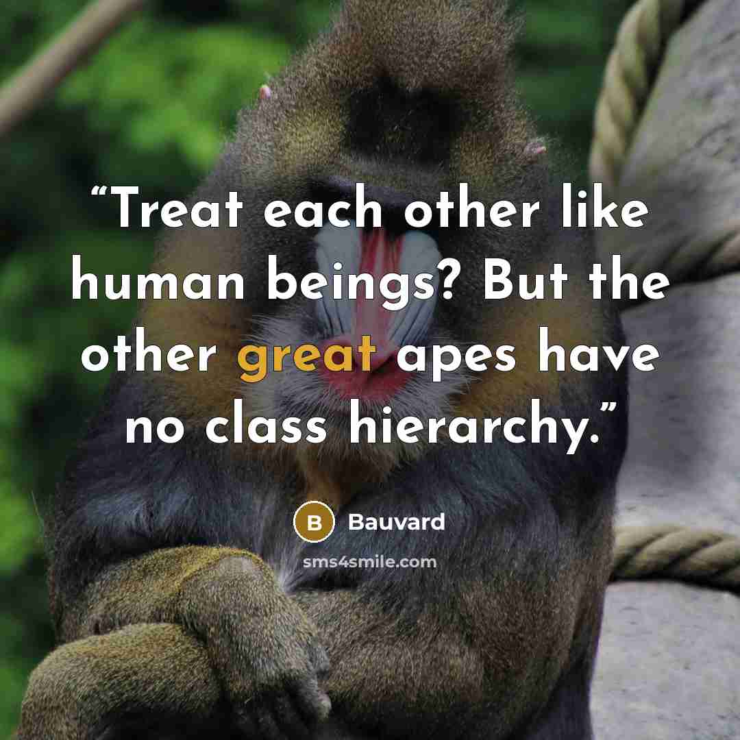 “Treat each other like human beings? But the other great apes have no class hierarchy.” quote by Bauvard