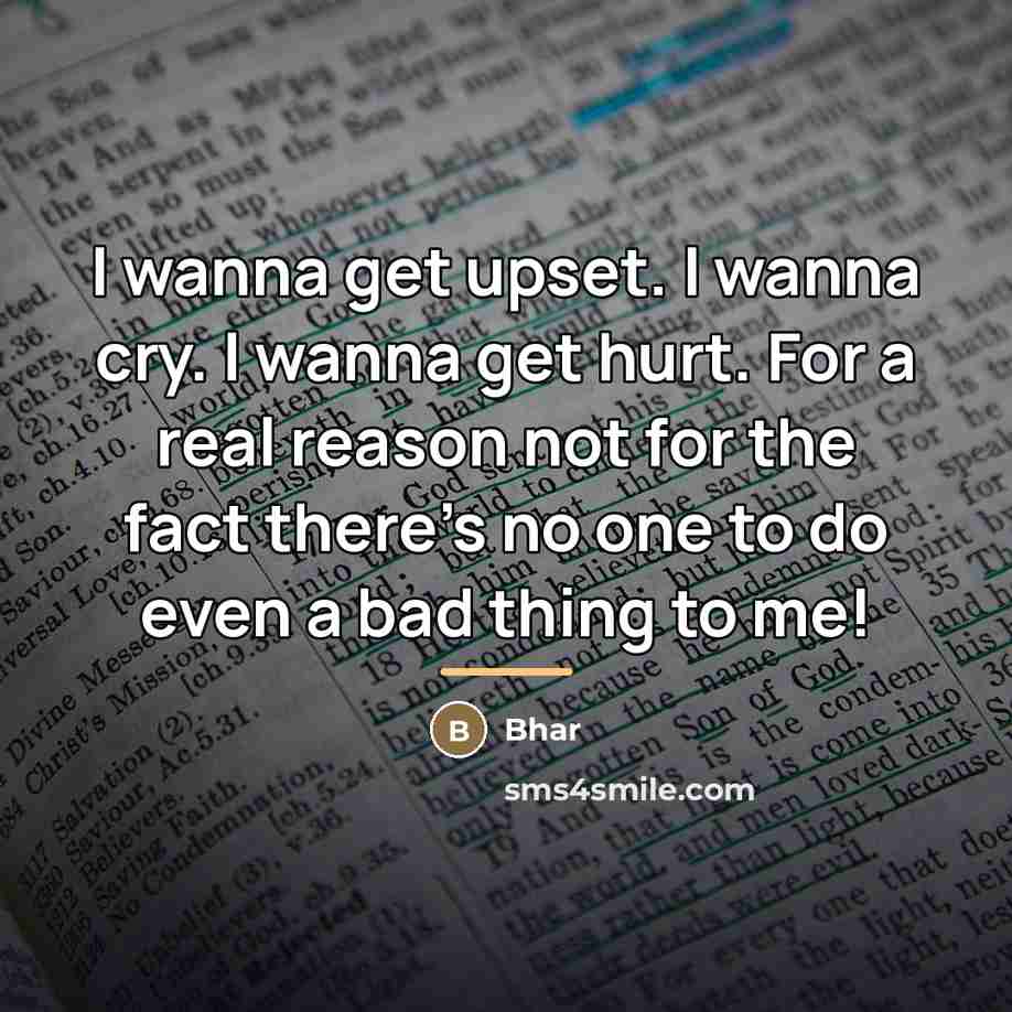 “I wanna get upset. I wanna cry. I wanna get…” quote by Bhar