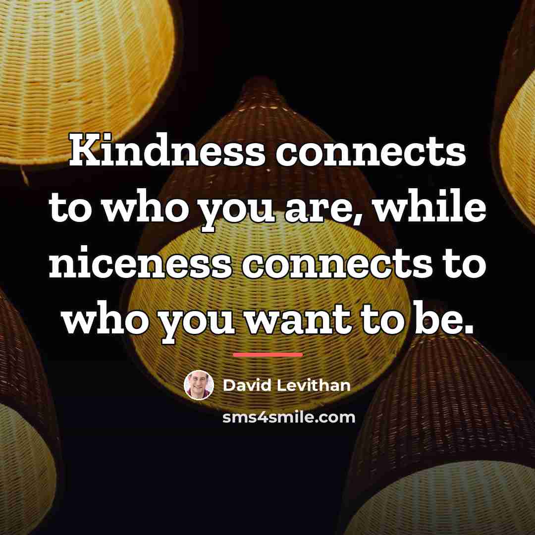 “Kindness connects to who you are, while niceness connects to…” quote by David Levithan