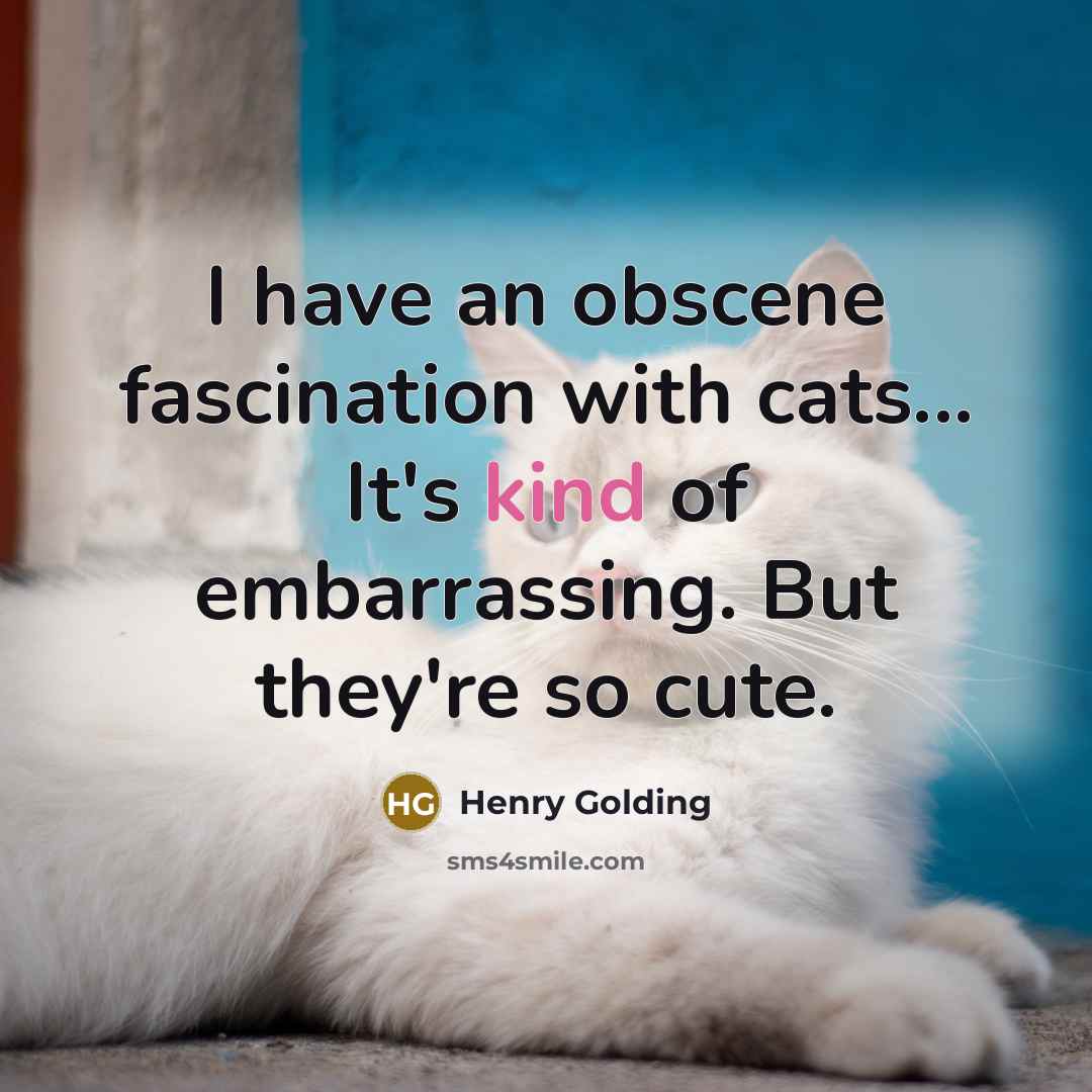 “I have an obscene fascination with cats... It's kind of…” quote by Henry Golding