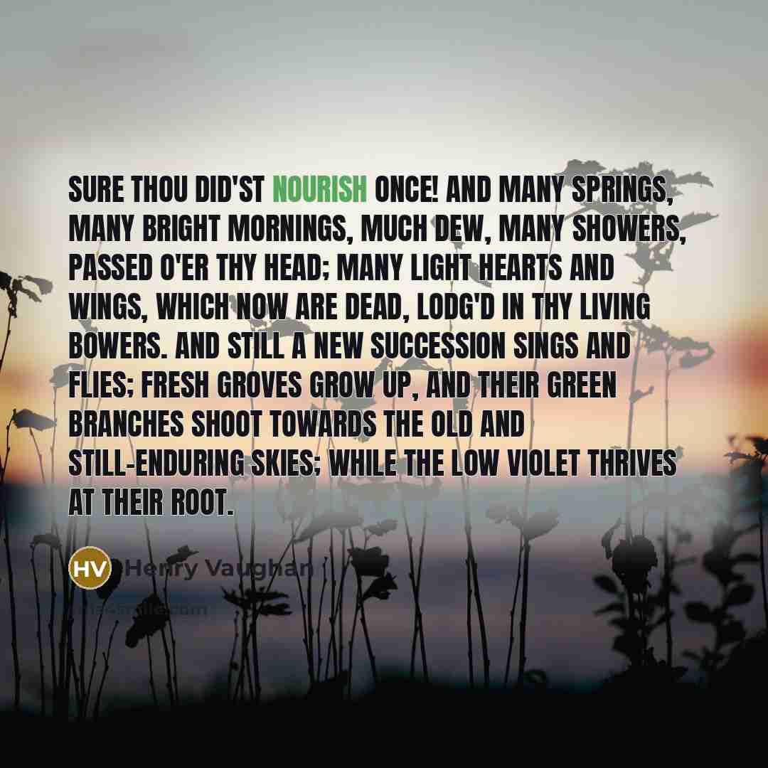 “Sure thou did'st nourish once! and many springs, Many bright…” quote by Henry Vaughan