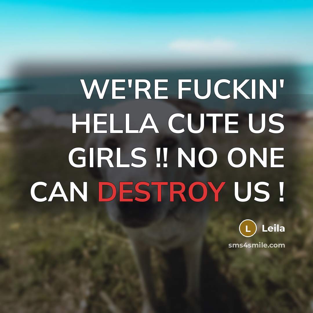 “WE'RE FUCKIN' HELLA CUTE US GIRLS !! NO ONE CAN…” quote by LEILA