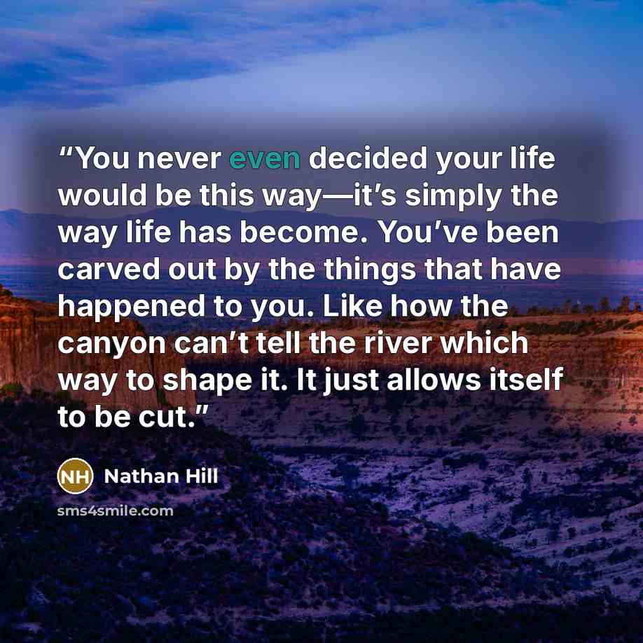 “You never even decided your life would be this way—it’s simply the way life has become. You’ve been carved out by the things that have happened to you. Like how the canyon can’t tell the river which way to shape it. It just allows itself to be cut.” quote by Nathan Hill