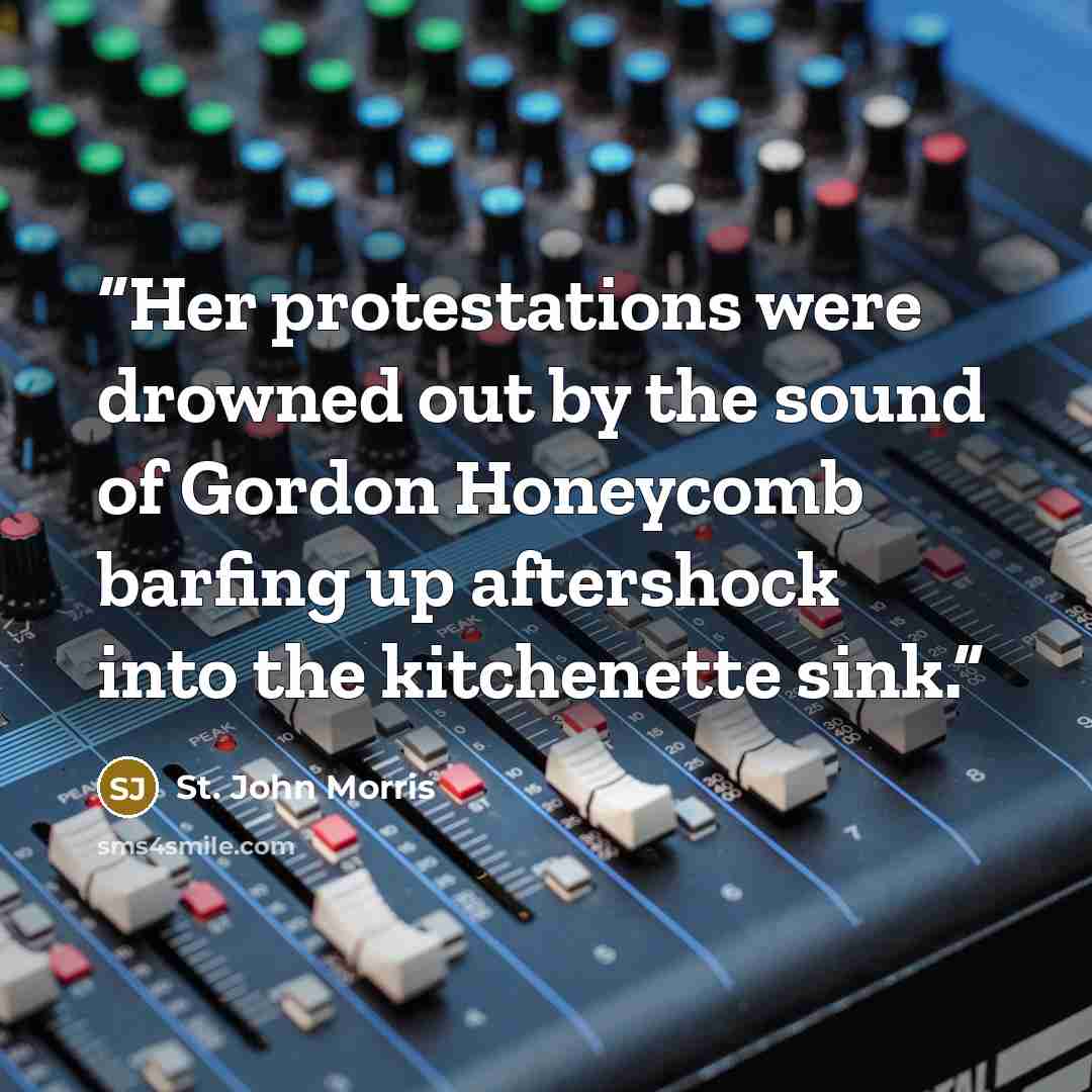 “Her protestations were drowned out by the sound of Gordon Honeycomb barfing up aftershock into the kitchenette sink.” quote by St. John Morris