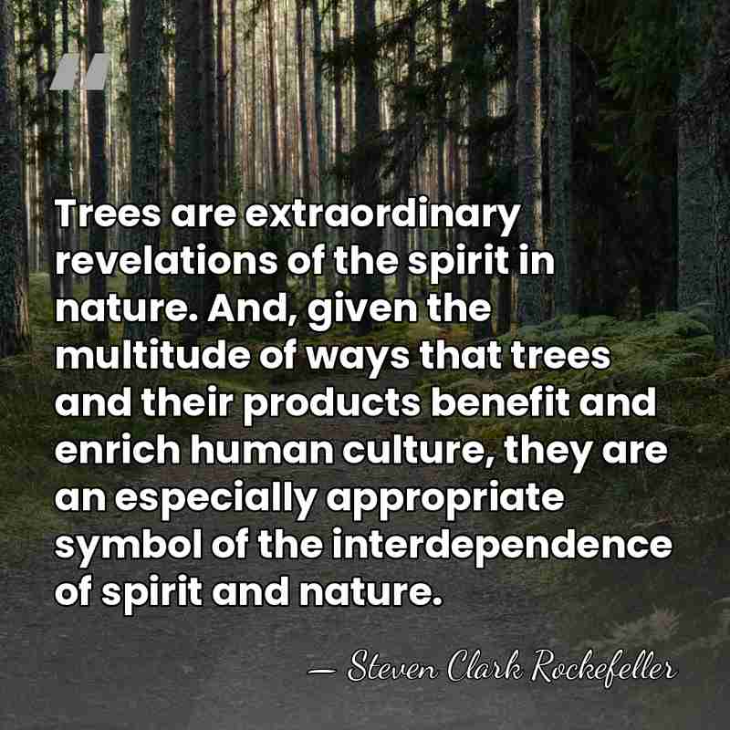 Trees are extraordinary revelations of the spirit in nature. And, given the&hellip; - Steven Clark Rockefeller
