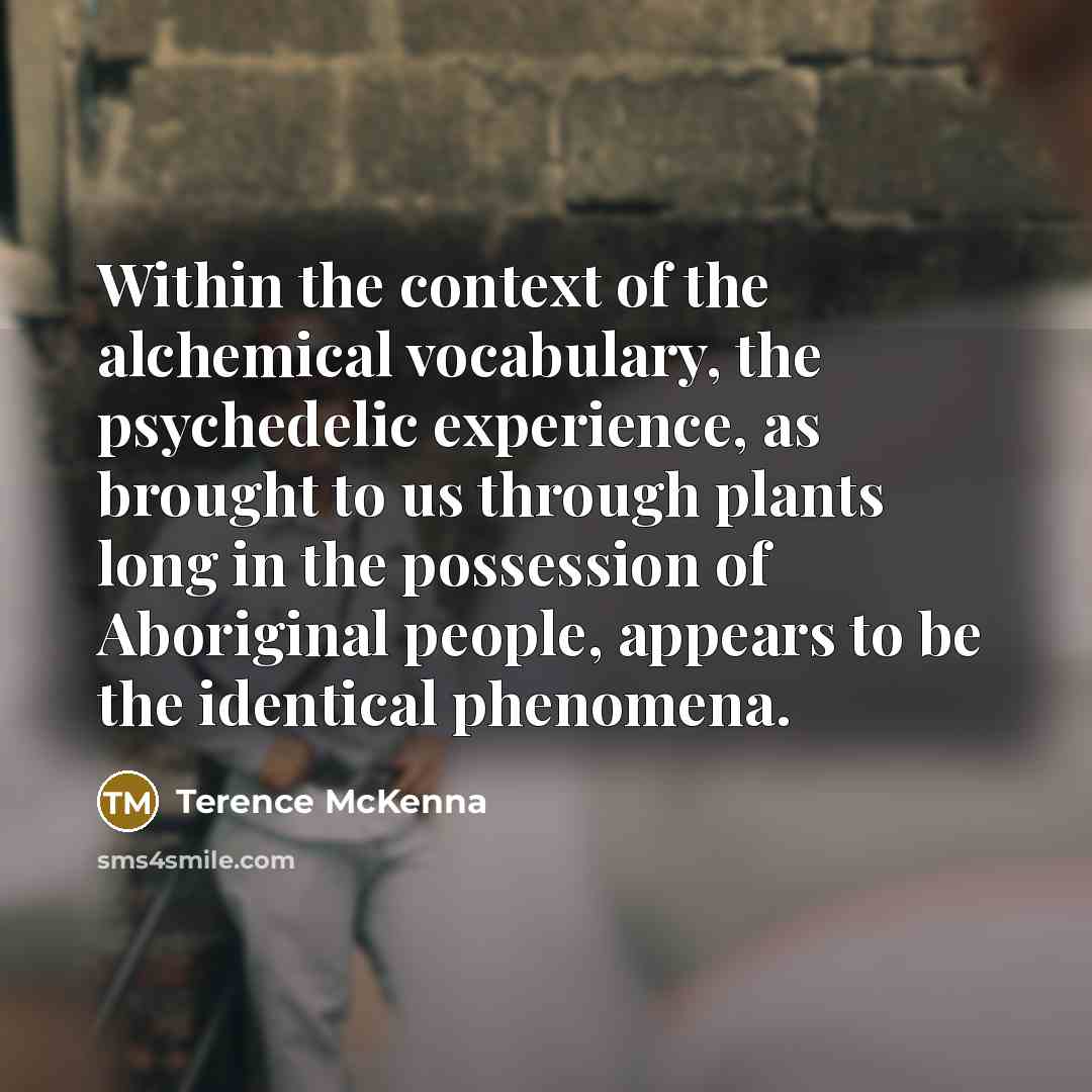 “Within the context of the alchemical vocabulary, the psychedelic experience,…” quote by Terence McKenna