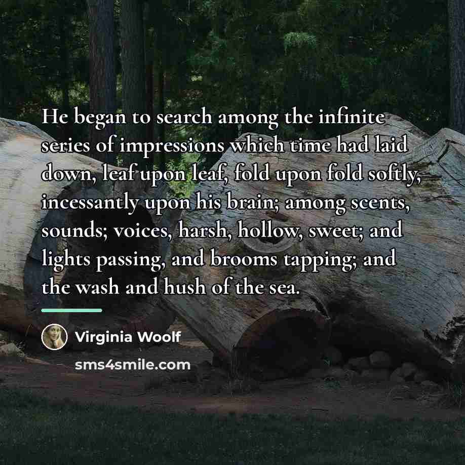 “He began to search among the infinite series of impressions…” quote by Virginia Woolf