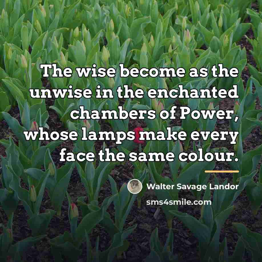 “The wise become as the unwise in the enchanted chambers…” quote by Walter Savage Landor