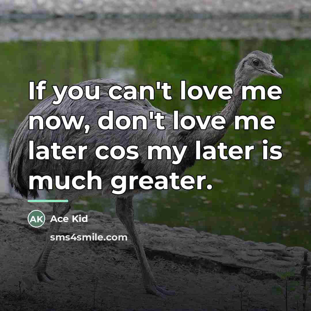 “If you can't love me now, don't love me later…” quote by Ace Kid