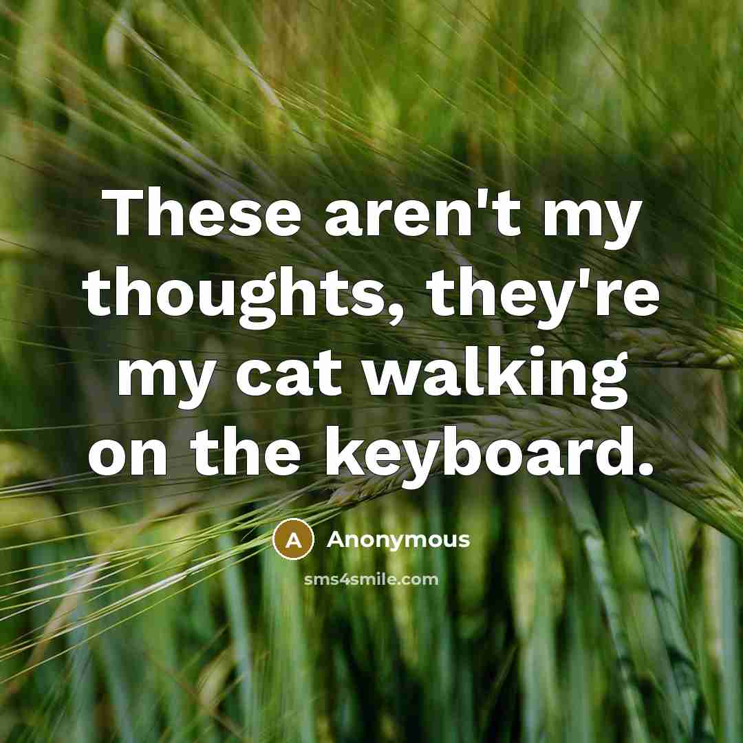 “These aren't my thoughts, they're my cat walking on the…” quote by Anonymous