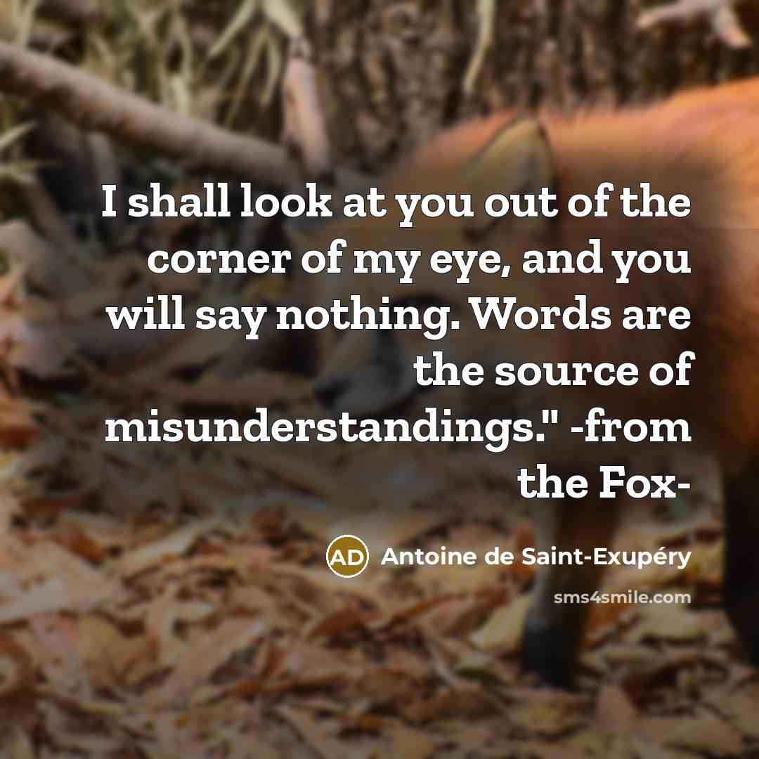 “I shall look at you out of the corner of…” quote by Antoine de Saint-Exupery
