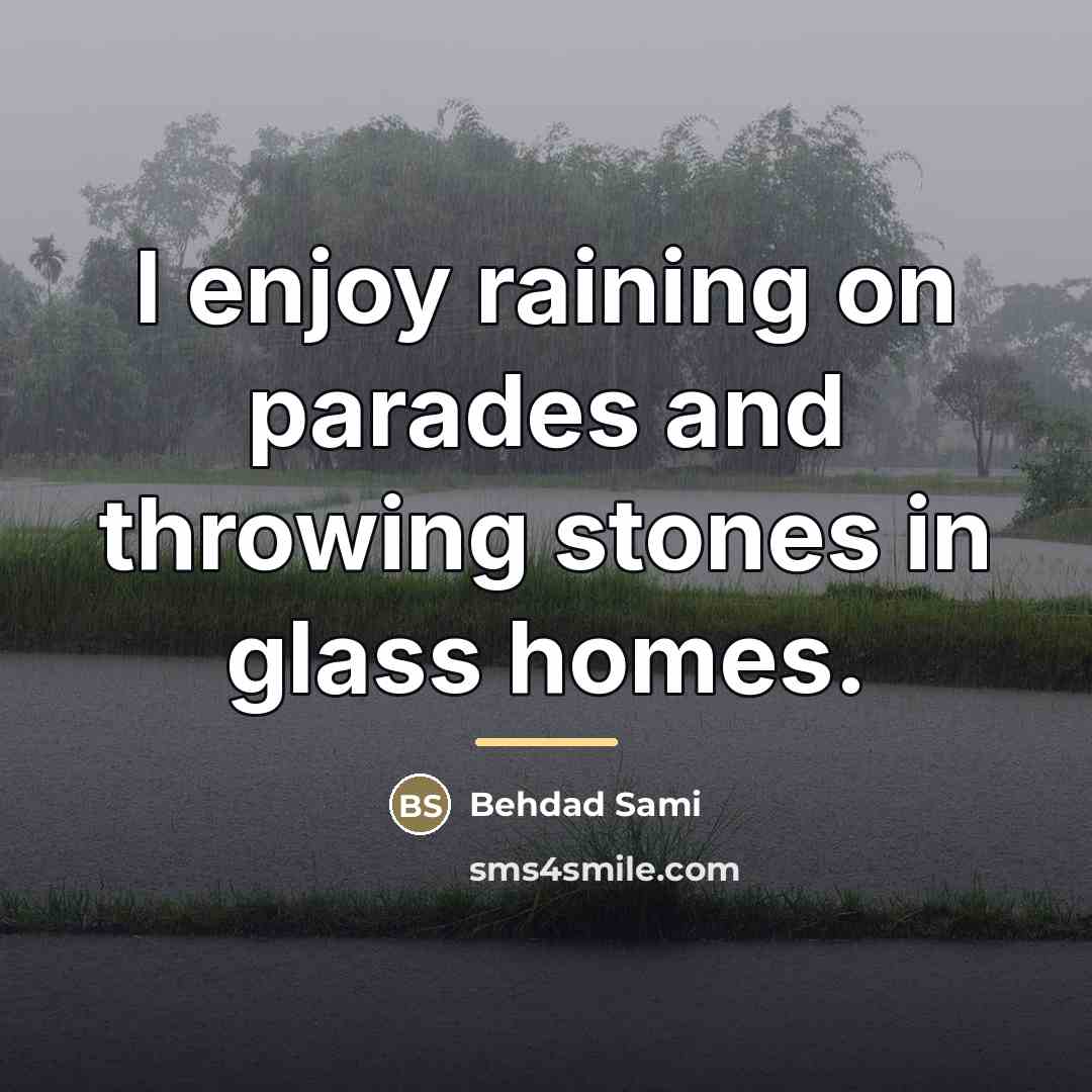 “I enjoy raining on parades and throwing stones in glass…” quote by Behdad Sami