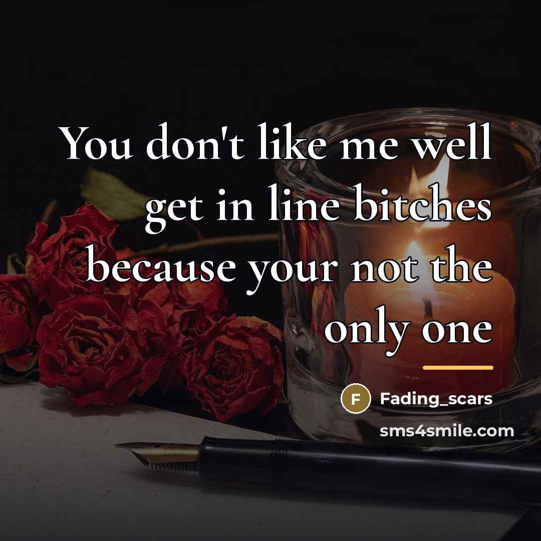 “You don't like me well get in line bitches because…” quote by Fading_scars