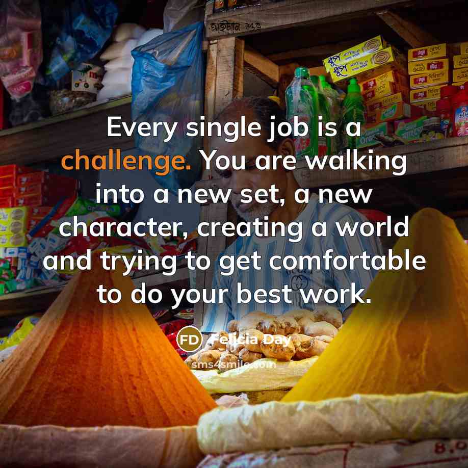 “Every single job is a challenge. You are walking into…” quote by Felicia Day