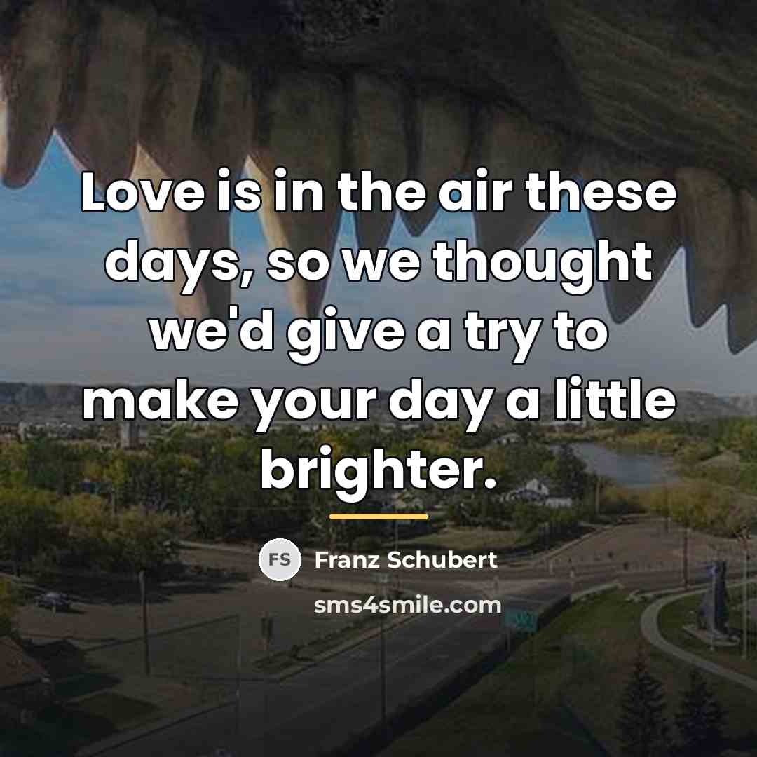“Love is in the air these days, so we thought…” quote by Franz Schubert