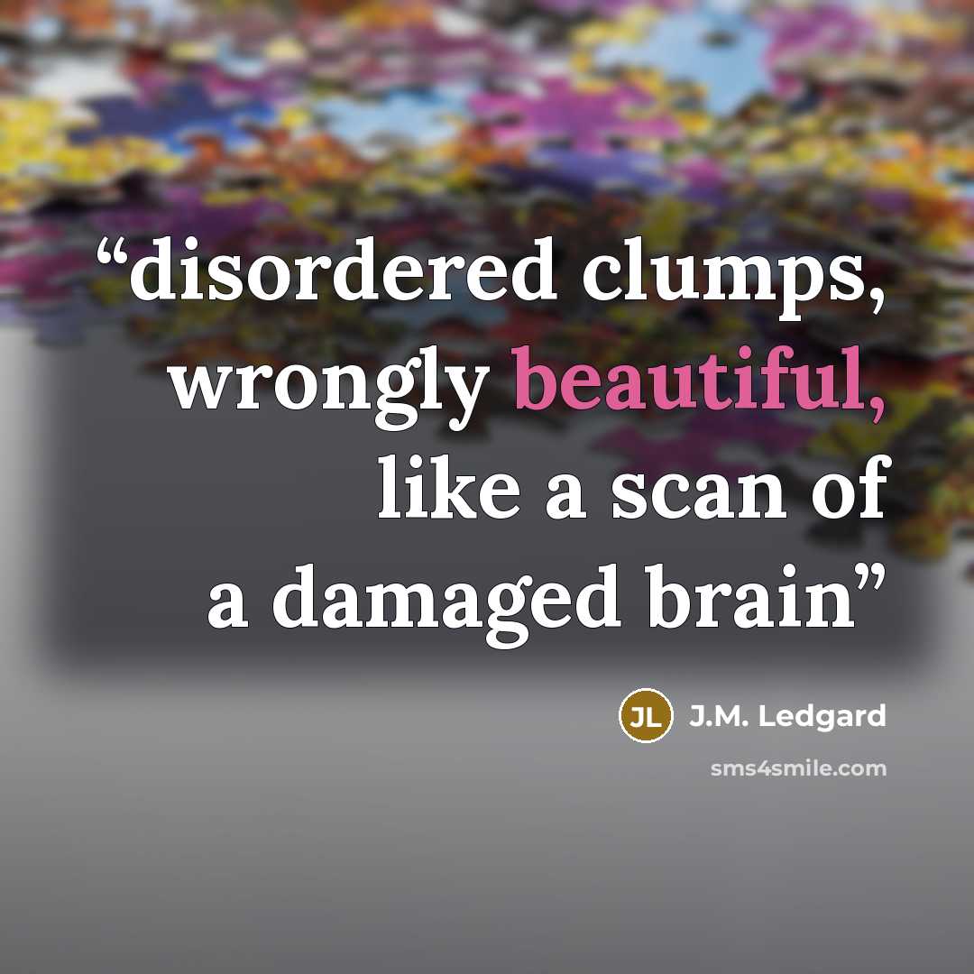 “disordered clumps, wrongly beautiful, like a scan of a damaged brain” quote by J.M. Ledgard