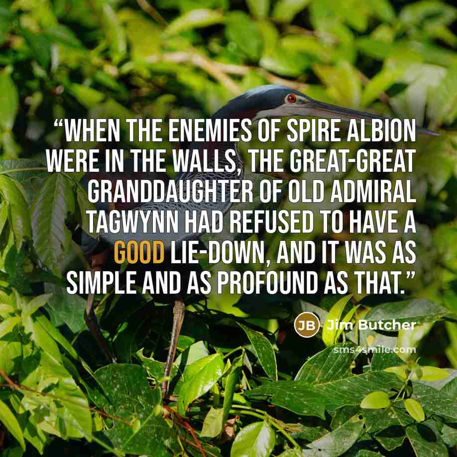 “When the enemies of Spire Albion were in the walls, the great-great granddaughter of old Admiral Tagwynn had refused to have a good lie-down, and it was as simple and as profound as that.” quote by Jim Butcher