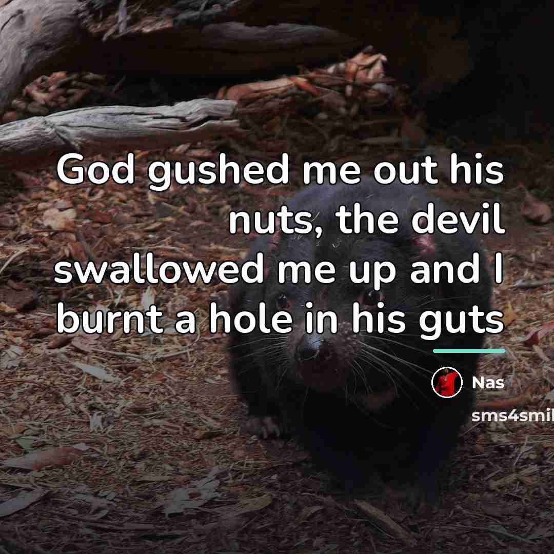 “God gushed me out his nuts, the devil swallowed me…” quote by Nas