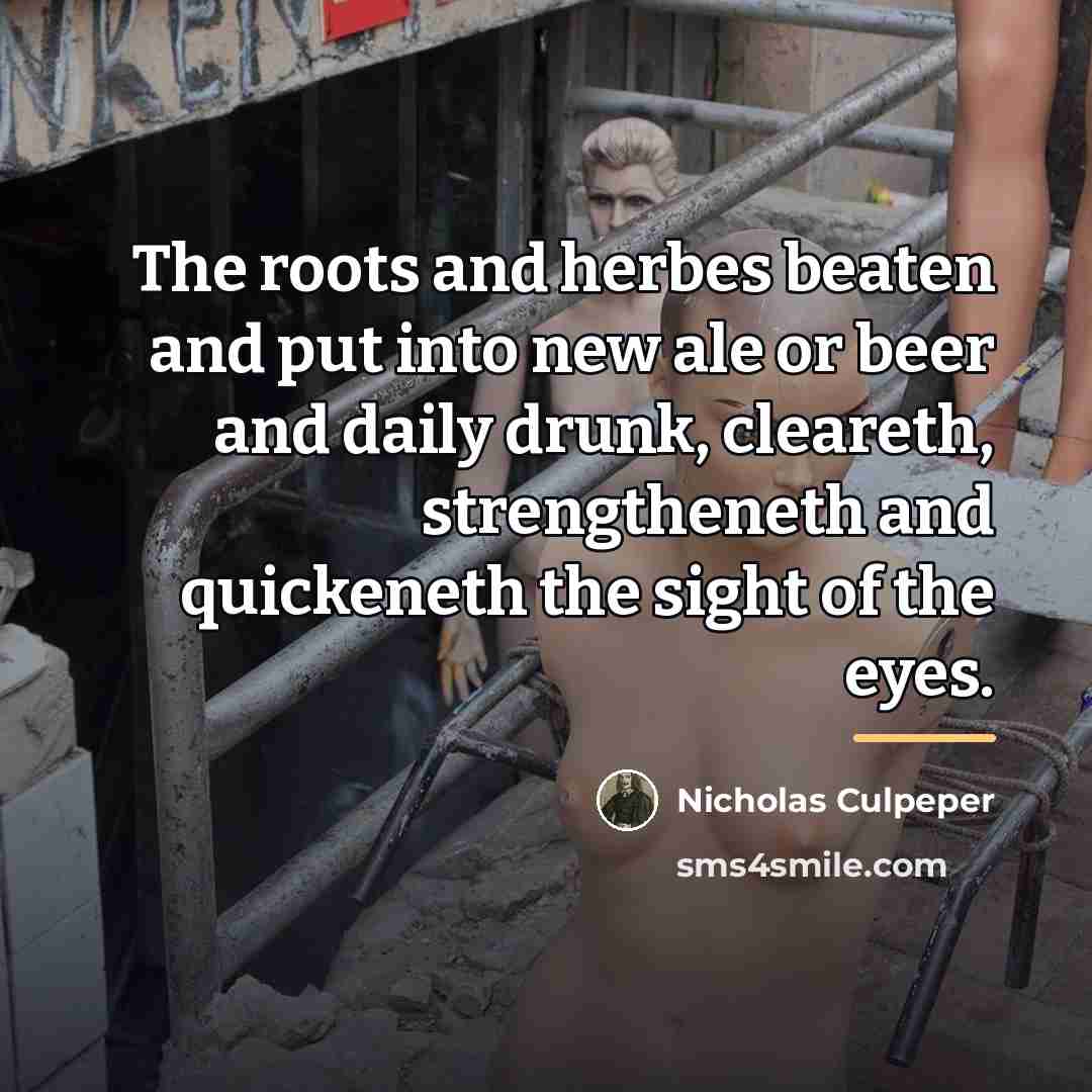“The roots and herbes beaten and put into new ale…” quote by Nicholas Culpeper