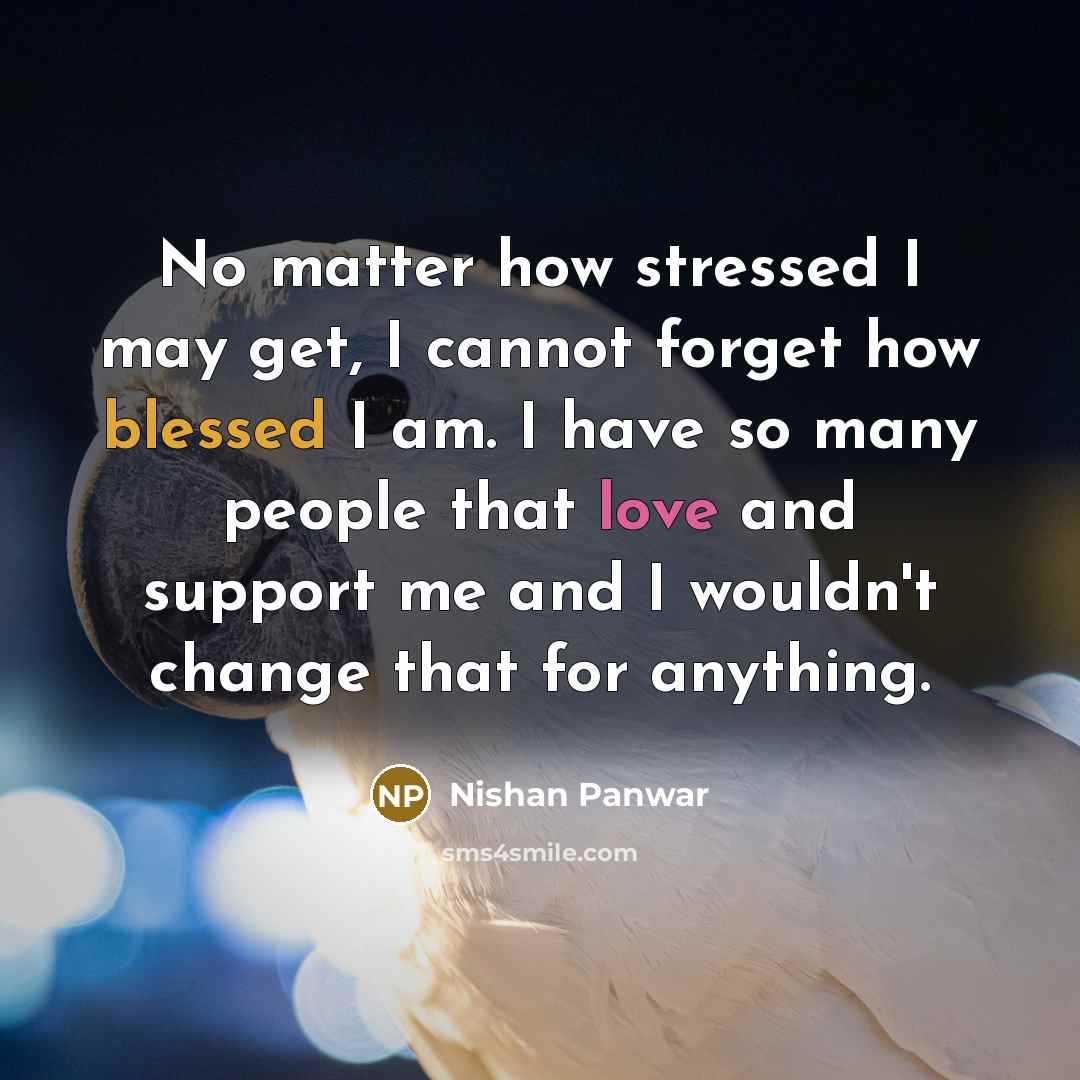 “No matter how stressed I may get, I cannot forget…” quote by Nishan Panwar