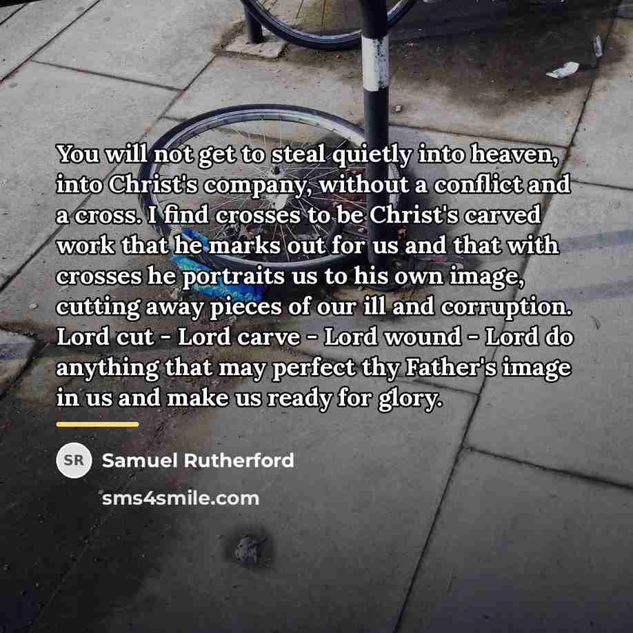 “You will not get to steal quietly into heaven, into…” quote by Samuel Rutherford
