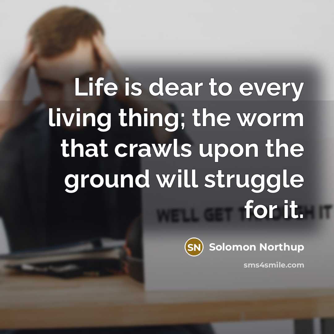 “Life is dear to every living thing; the worm that…” quote by Solomon Northup