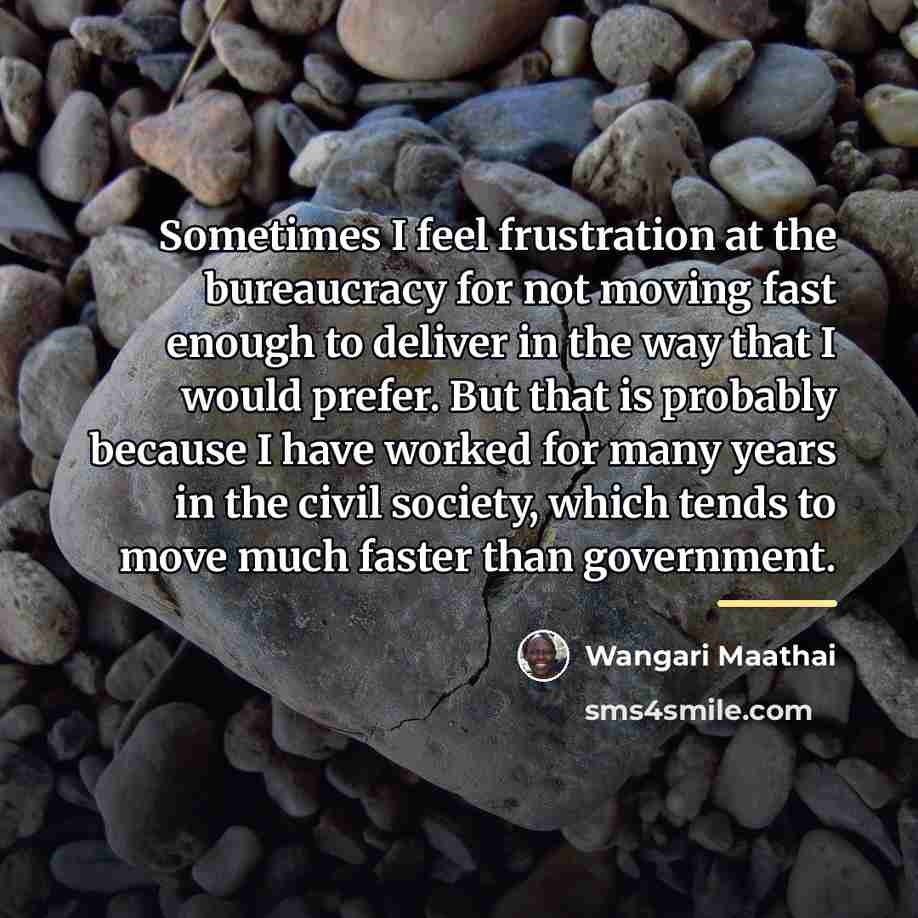 “Sometimes I feel frustration at the bureaucracy for not moving…” quote by Wangari Maathai