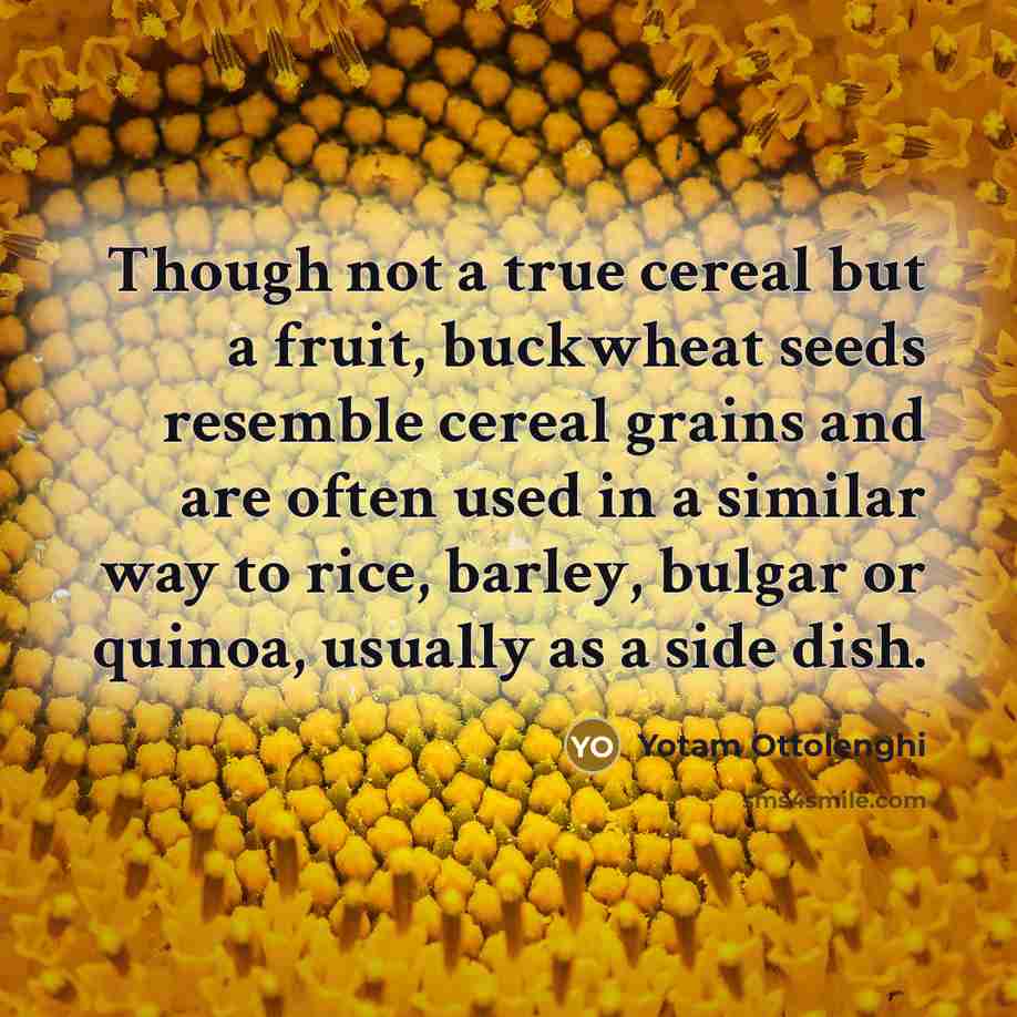 “Though not a true cereal but a fruit, buckwheat seeds…” quote by Yotam Ottolenghi