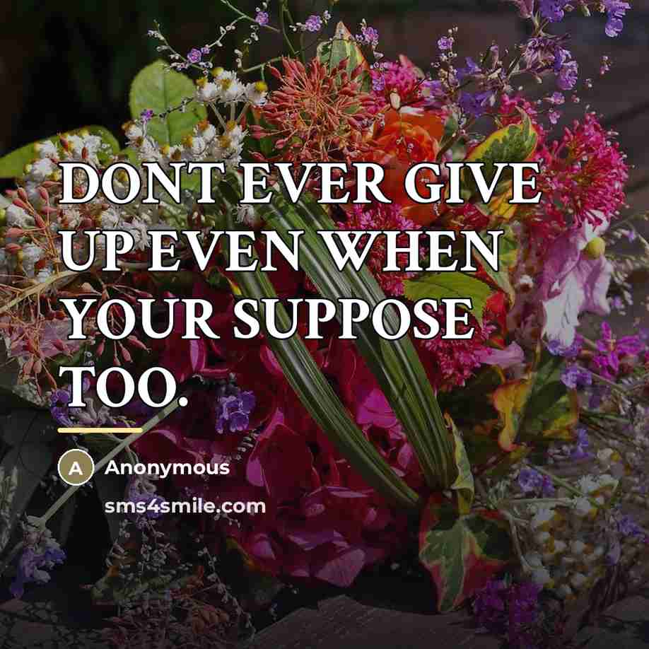 “DONT EVER GIVE UP EVEN WHEN YOUR SUPPOSE TOO.…” quote by Anonymous
