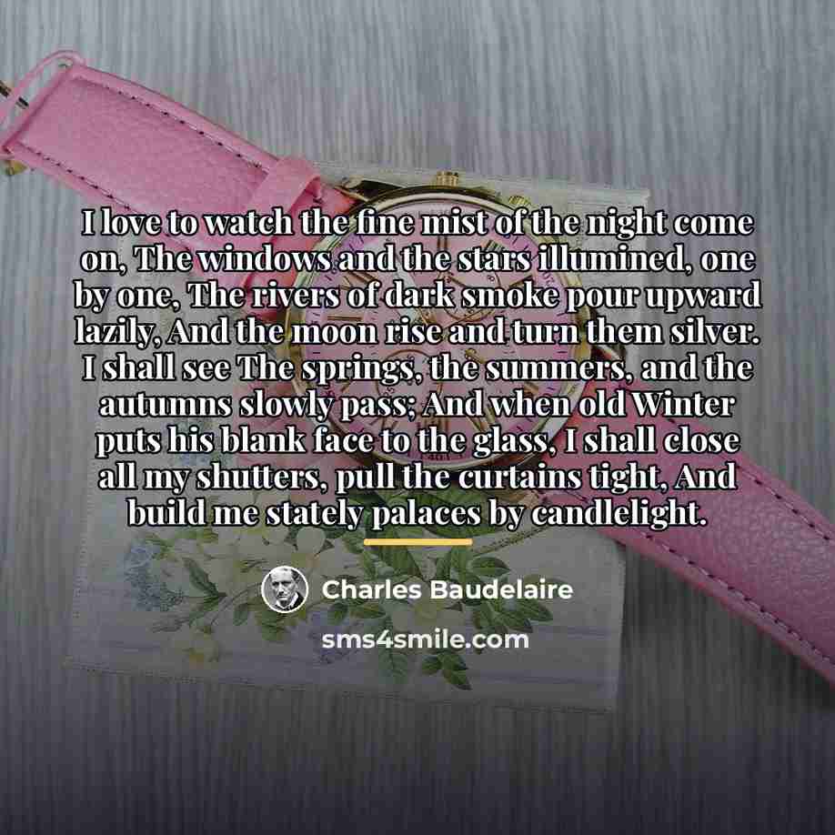 “I love to watch the fine mist of the night…” quote by Charles Baudelaire