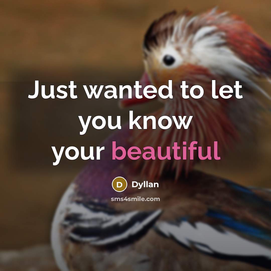 “Just wanted to let you know your beautiful…” quote by Dyllan