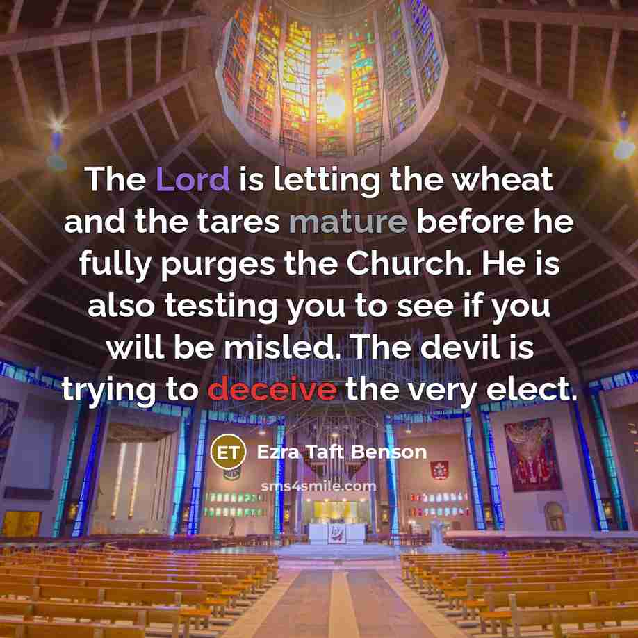 “The Lord is letting the wheat and the tares mature…” quote by Ezra Taft Benson