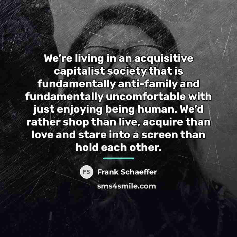 “We’re living in an acquisitive capitalist society that is fundamentally…” quote by Frank Schaeffer