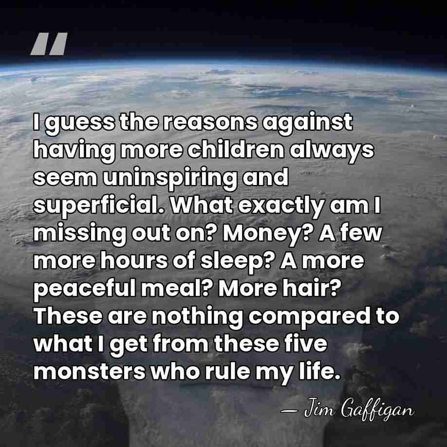 I guess the reasons against having more children always seem uninspiring and&hellip; - Jim Gaffigan