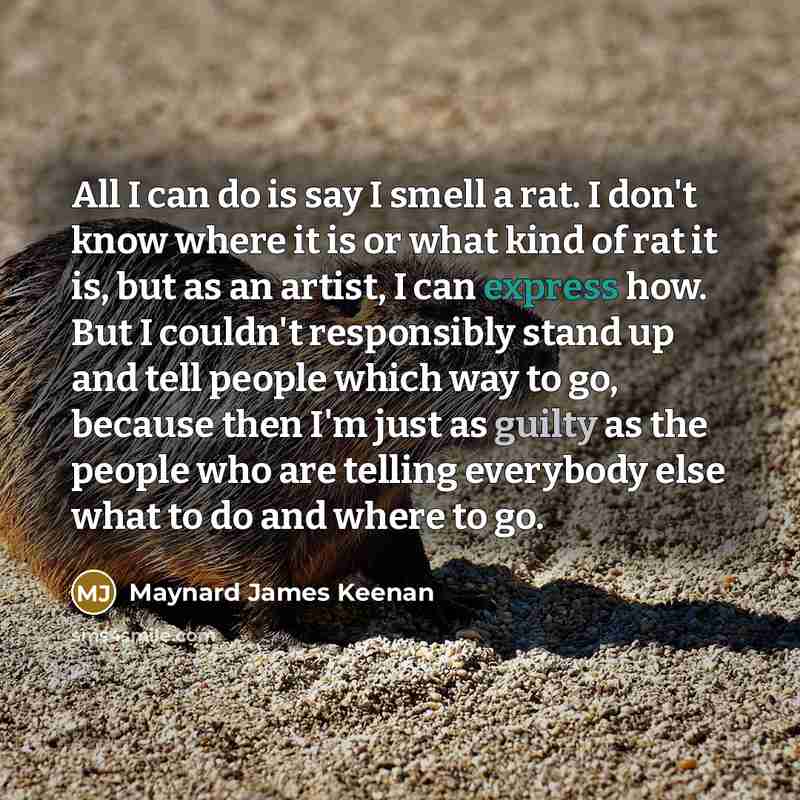 “All I can do is say I smell a rat.…” quote by Maynard James Keenan