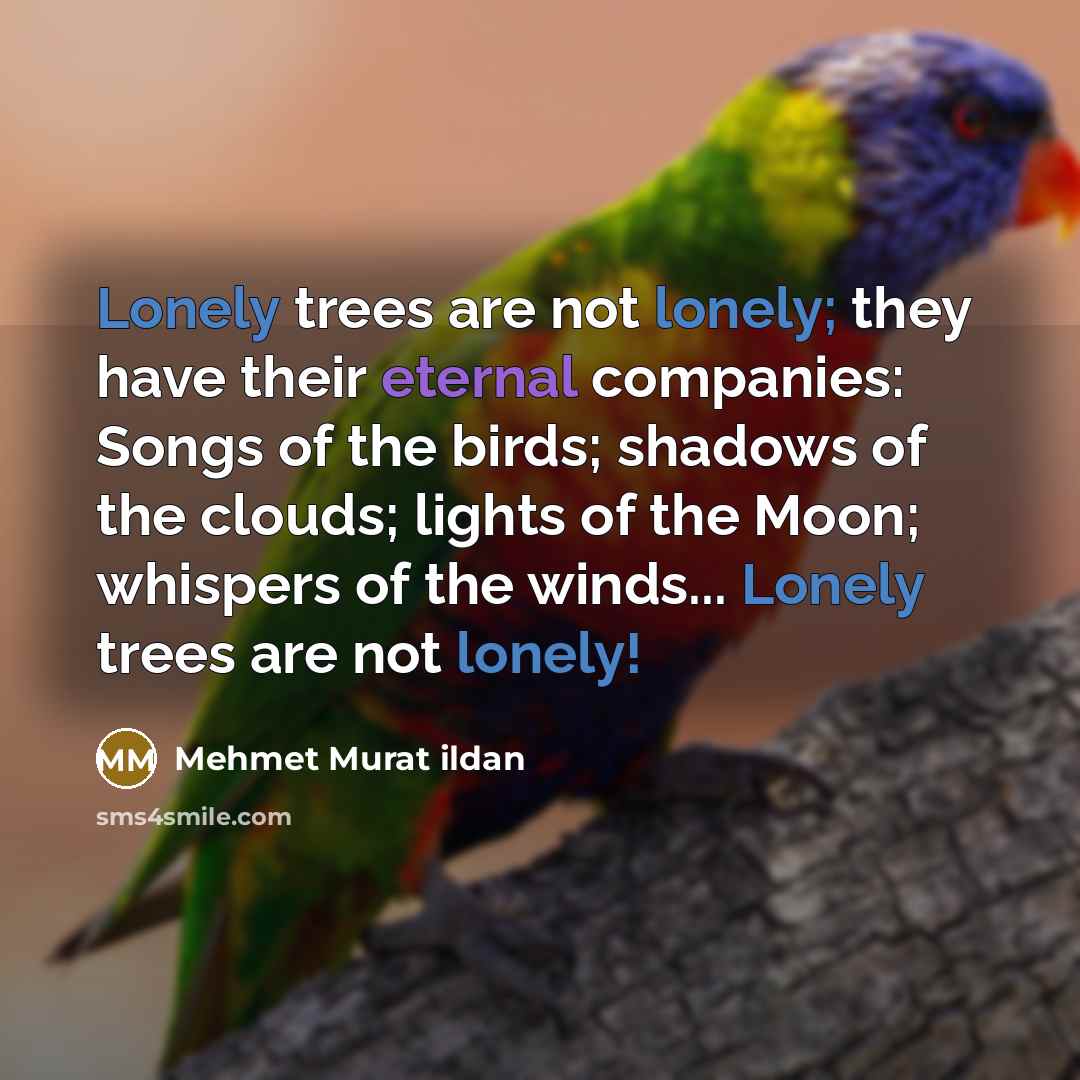 “Lonely trees are not lonely; they have their eternal companies:…” quote by Mehmet Murat Ildan