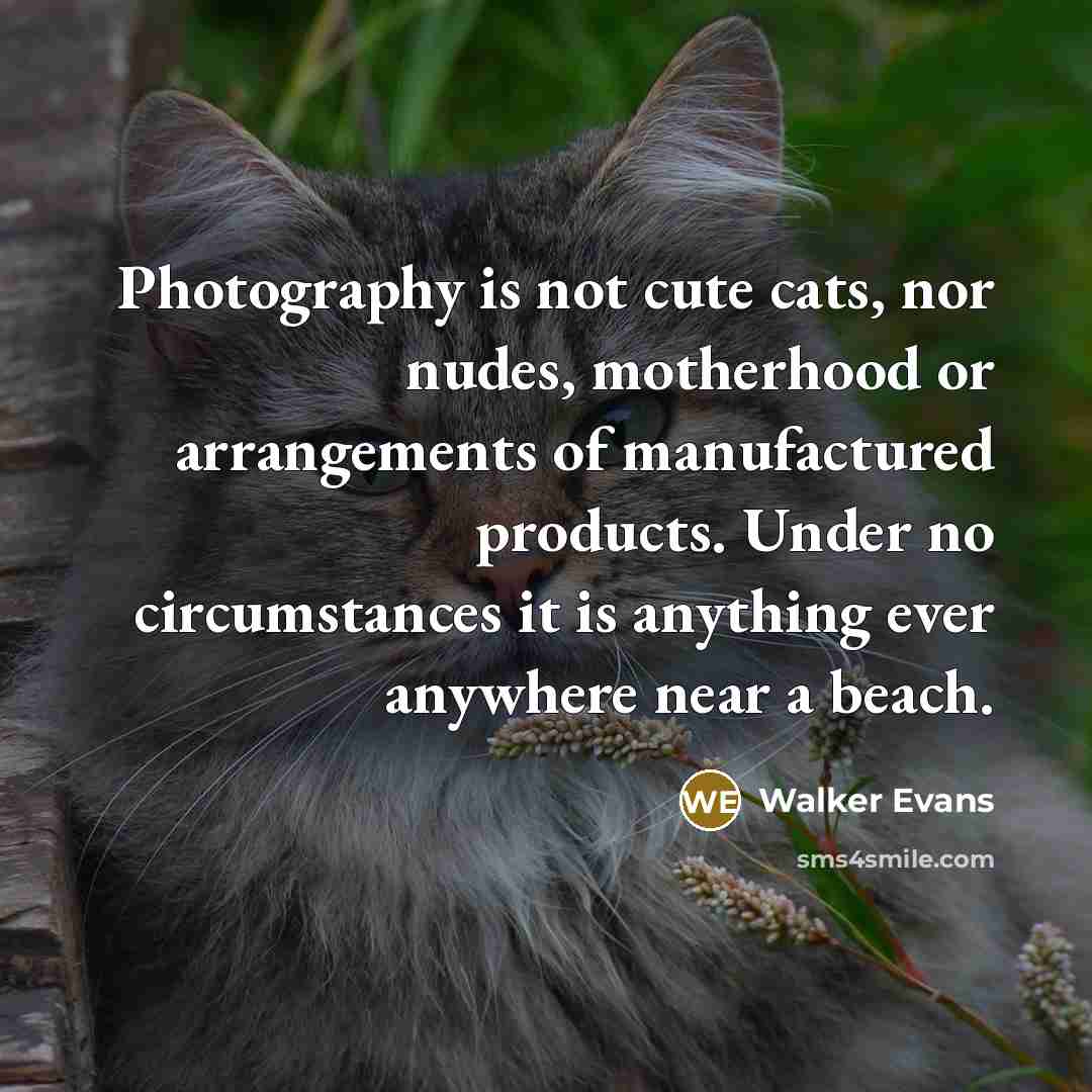 “Photography is not cute cats, nor nudes, motherhood or arrangements…” quote by Walker Evans
