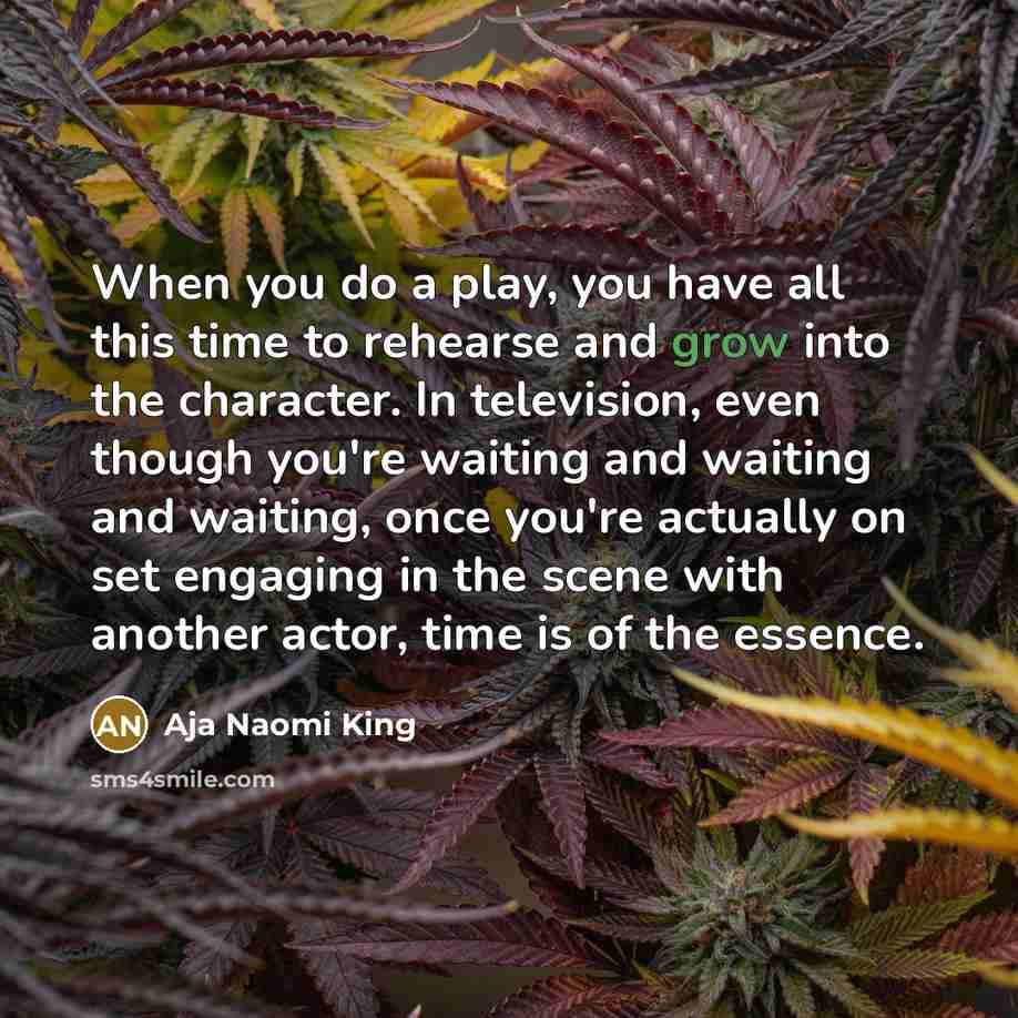 “When you do a play, you have all this time…” quote by Aja Naomi King