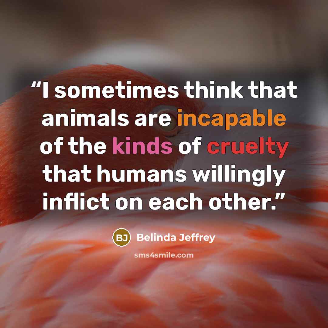 “I sometimes think that animals are incapable of the kinds of cruelty that humans willingly inflict on each other.” quote by Belinda Jeffrey