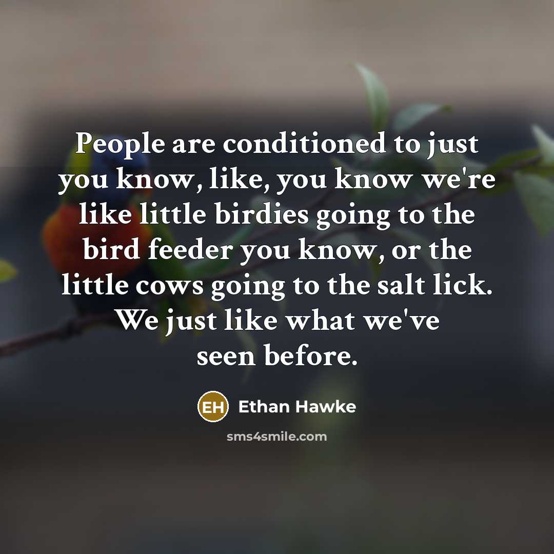 “People are conditioned to just you know, like, you know…” quote by Ethan Hawke
