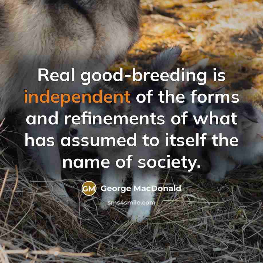 “Real good-breeding is independent of the forms and refinements of…” quote by George MacDonald